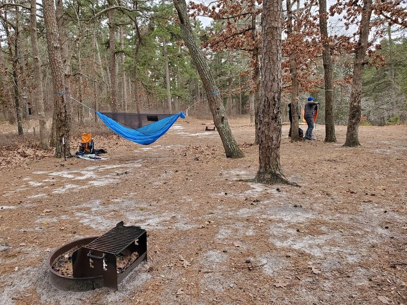 This is primitive Pine Barrens camping in the best possible way This is primitive Pine Barrens camping in the best possible way