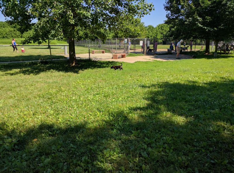 Thompson Park Off-Leash Dog Area — Lincroft