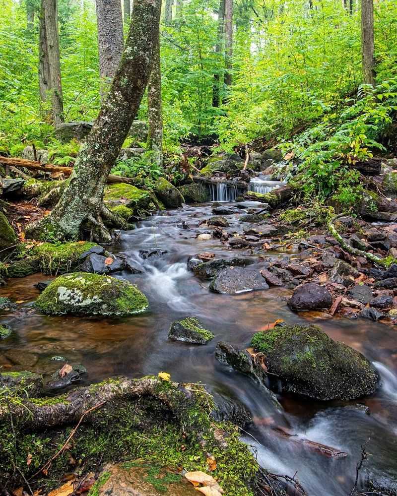 Tillman Ravine Trail at Stokes State Forest — Branchville Tillman Ravine Trail at Stokes State Forest — Branchville