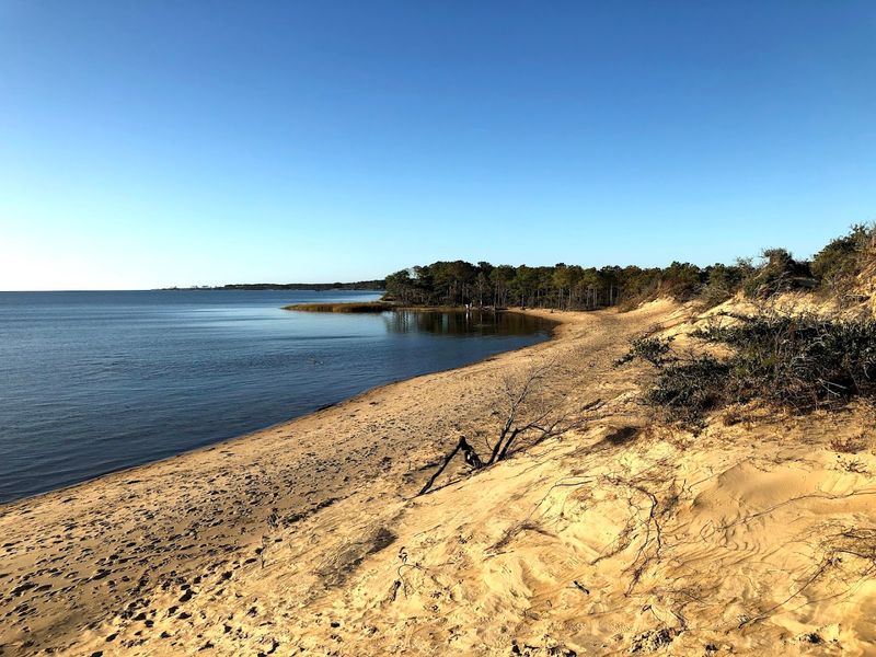 Tracks In The Sand Trail