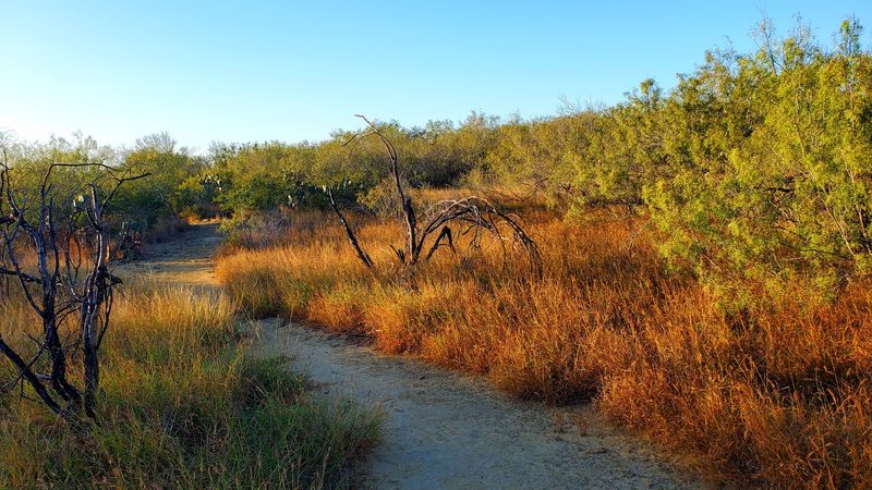 Trail Networks That Surprise First-Timers Trail Networks That Surprise First-Timers