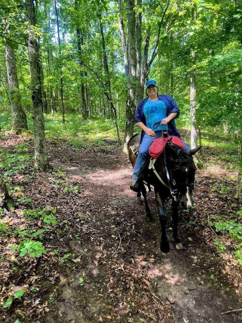 Trail Rides Through Scenic Tennessee Woodlands Trail Rides Through Scenic Tennessee Woodlands