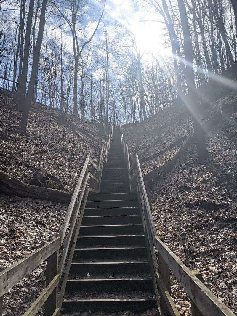 Trails Beyond the Beach That Extend the Whole Experience