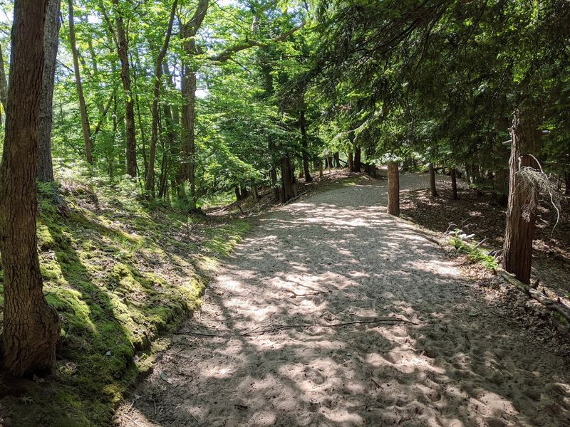 Trails That Choose Their Own Difficulty Level Trails That Choose Their Own Difficulty Level