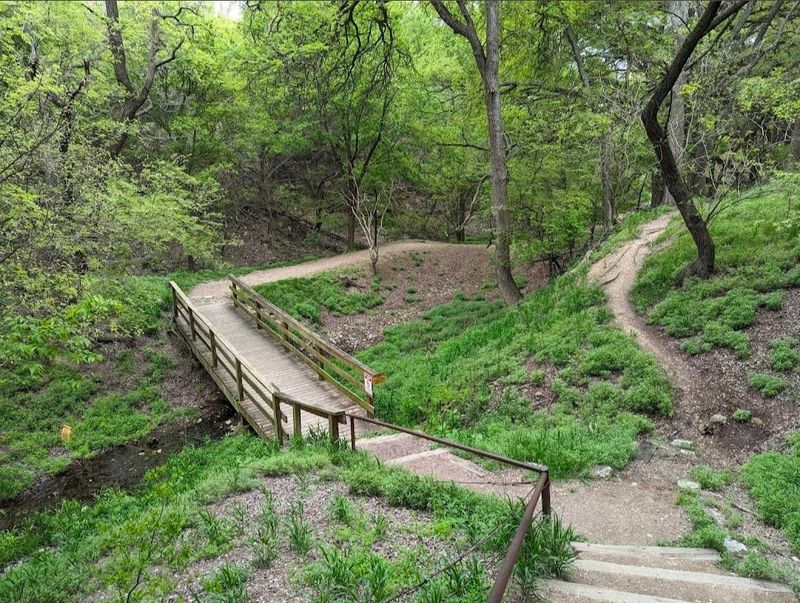 Trails That Surprise You