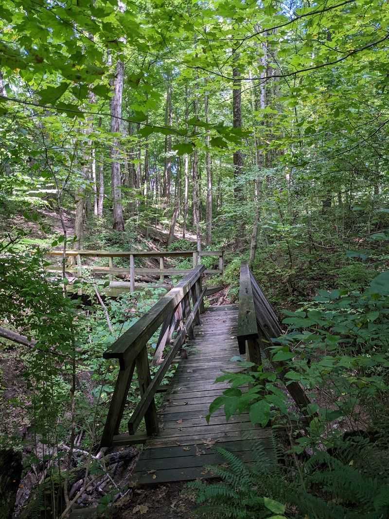 Trails, Wildflowers, And Shady Woodland Walks