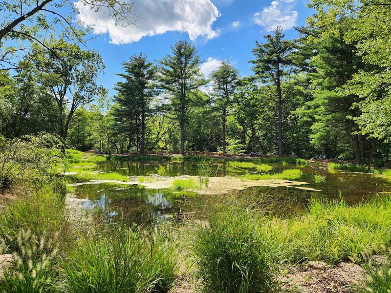 Trails turn the visit into a real outdoor escape
