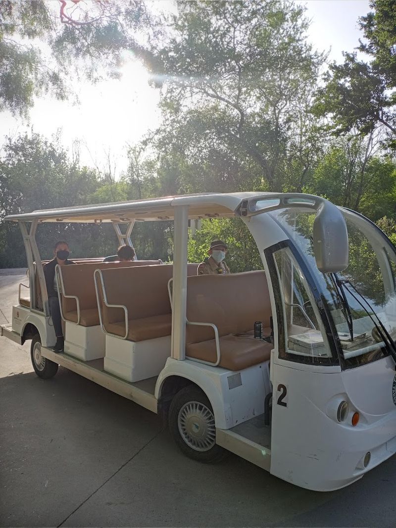 Tram Tours Reveal Hidden Birding Hotspots Tram Tours Reveal Hidden Birding Hotspots