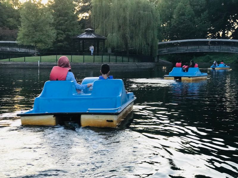Try the paddle boats on the water Try the paddle boats on the water