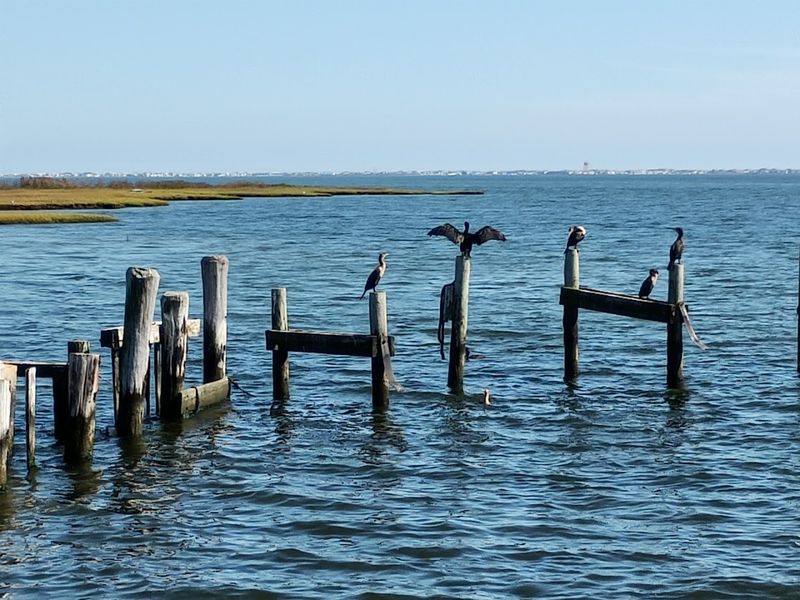 Tuckerton - Ocean County Tuckerton - Ocean County