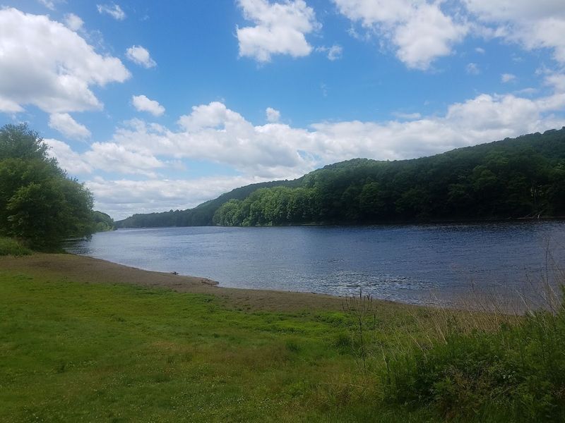 Turtle Beach — Hardwick Township Turtle Beach — Hardwick Township
