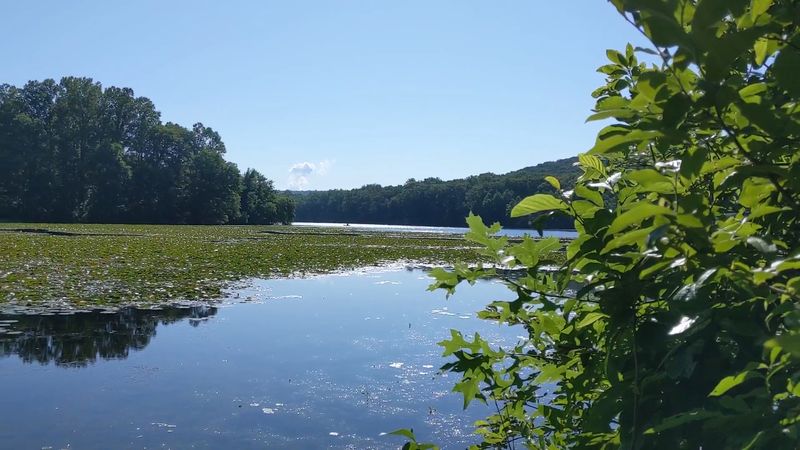 Two Lakes That Quiet The Whole Park