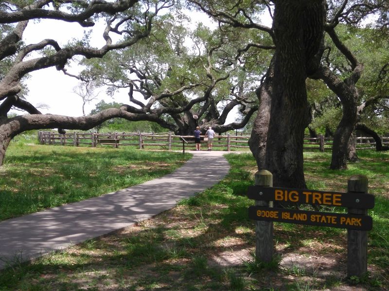 Two Parks In One: Wooded Versus Waterfront