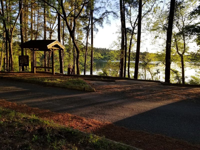 Tyler State Park (Tyler) Tyler State Park (Tyler)