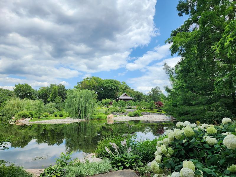 More Than a Garden—A Community Gathering Place More Than a Garden—A Community Gathering Place