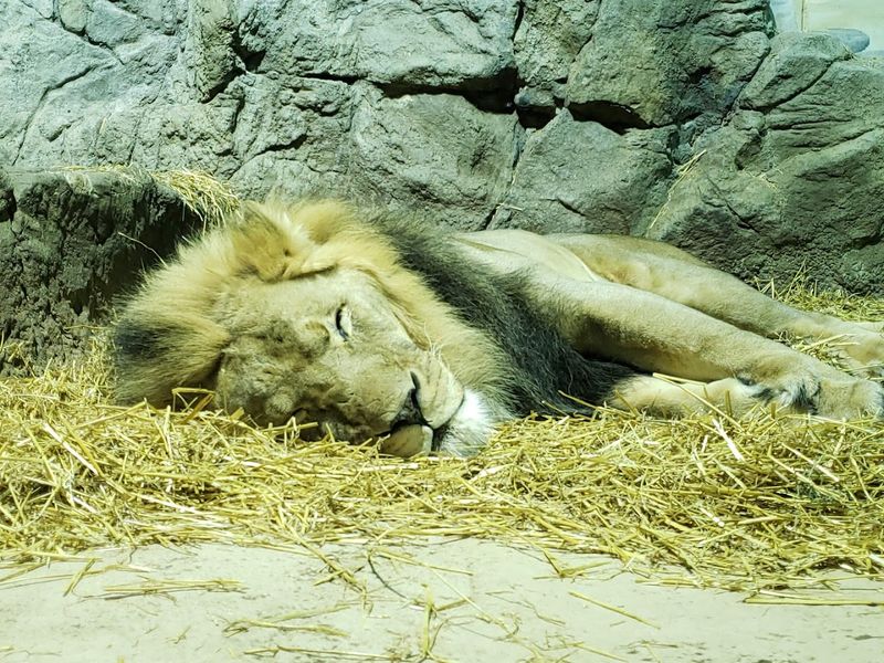 Up-Close Animal Encounters That Actually Deliver Up-Close Animal Encounters That Actually Deliver