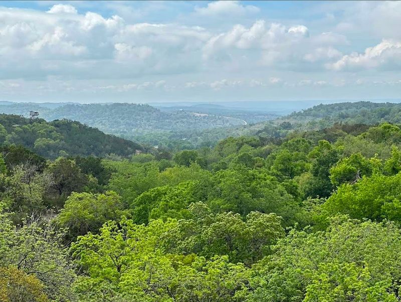 Valley Views That Stop You in Your Tracks