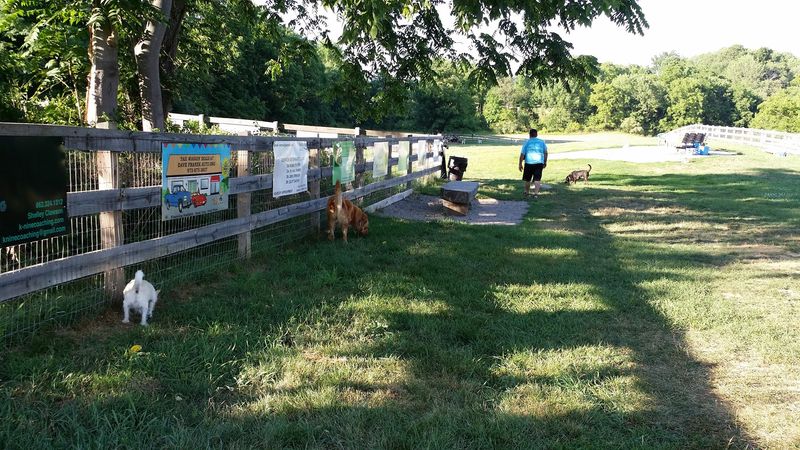 Vernon Dog Park — Vernon Township