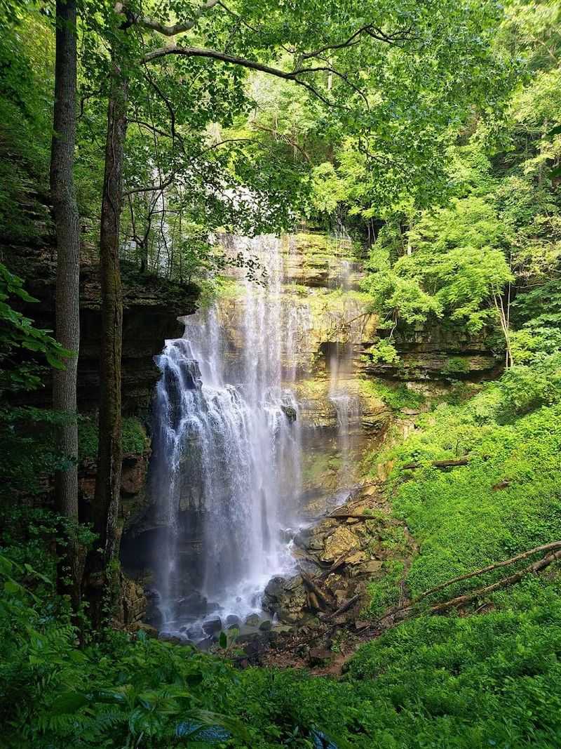 Virgin Falls Trail – Virgin Falls State Natural Area Virgin Falls Trail – Virgin Falls State Natural Area