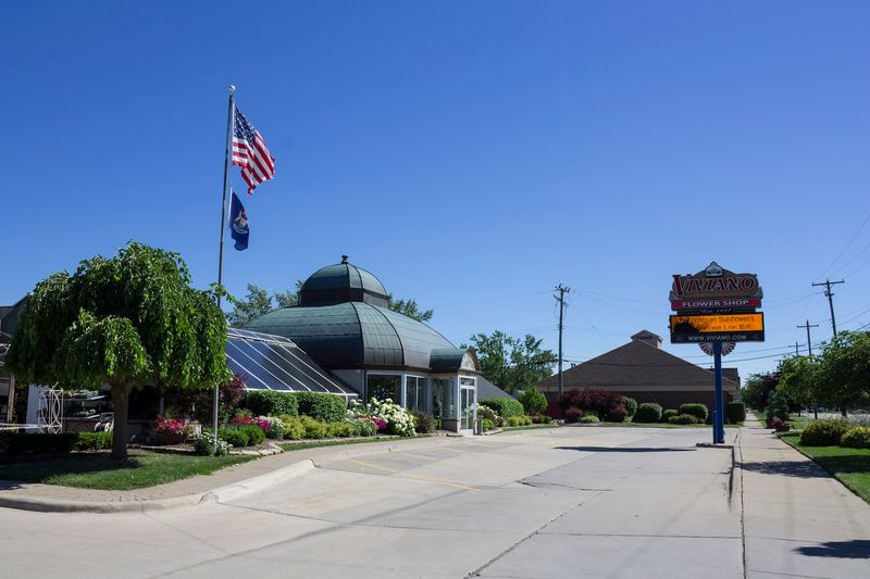 Viviano Flower Shop — Metro Detroit / St. Clair Shores Viviano Flower Shop — Metro Detroit / St. Clair Shores