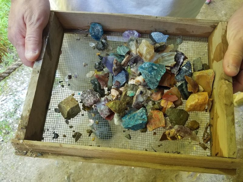 Real Gems And Fossils Worth Getting Excited About Real Gems And Fossils Worth Getting Excited About