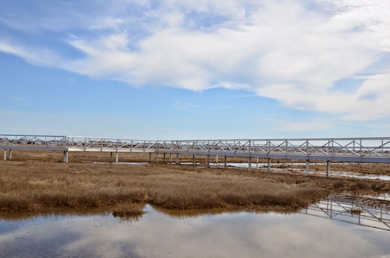Walk the Salt Marsh Trail at The Wetlands Institute Walk the Salt Marsh Trail at The Wetlands Institute