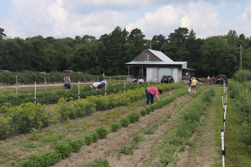 Walking Bird Farm - Egg Harbor City Walking Bird Farm - Egg Harbor City