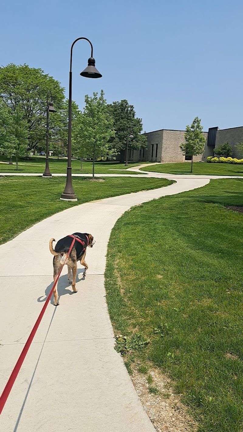 Walking Paths That Feel Easy and Relaxed Walking Paths That Feel Easy and Relaxed