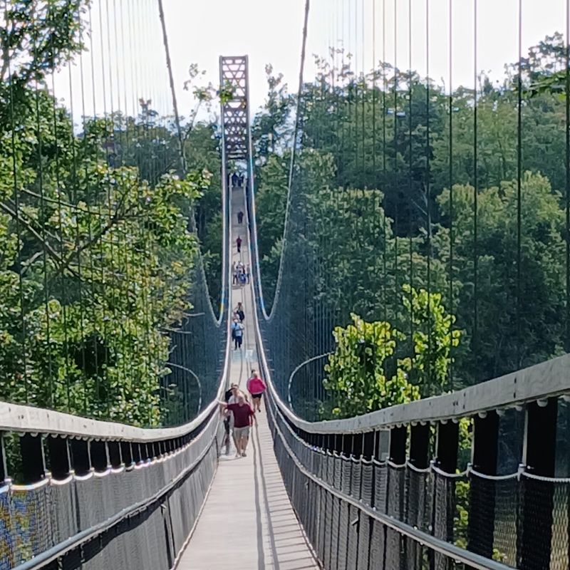 Walking the Suspension Bridge Itself: What to Actually Expect Walking the Suspension Bridge Itself: What to Actually Expect