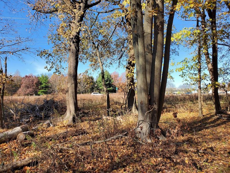 Wander through Rutgers Gardens and Helyar Woods Wander through Rutgers Gardens and Helyar Woods