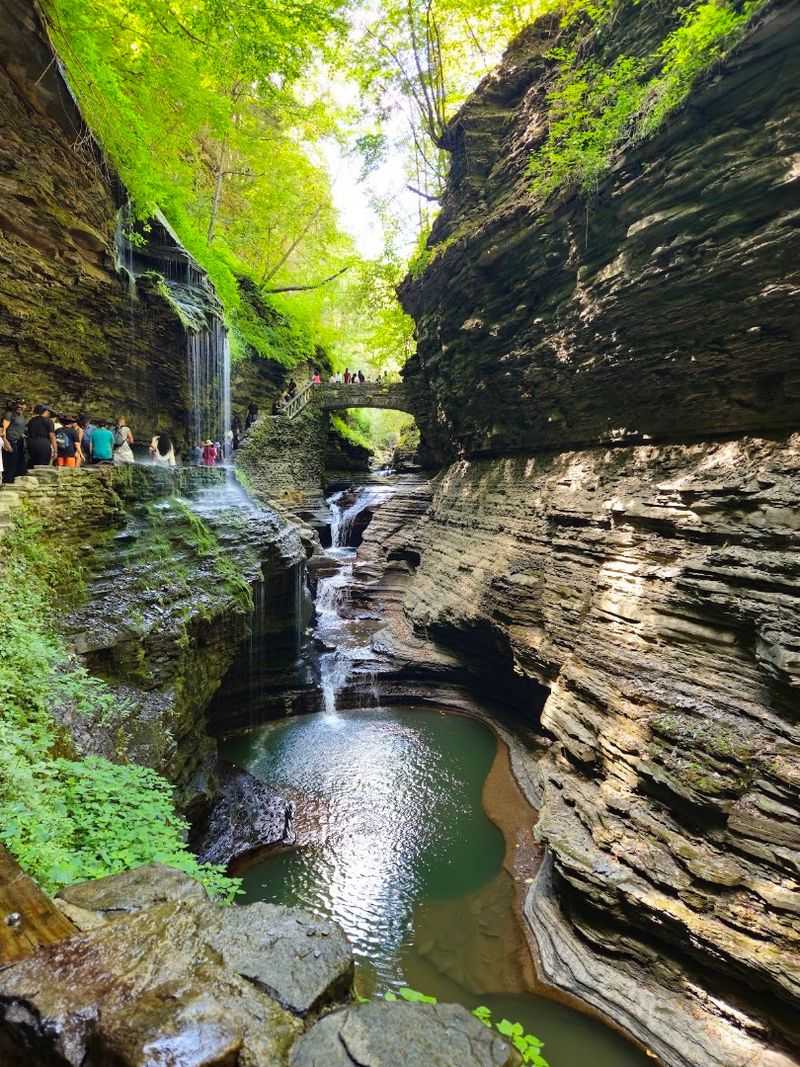 Watkins Glen