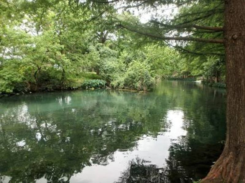 Weekday Visits Offer Peaceful Alternatives to Weekend Chaos