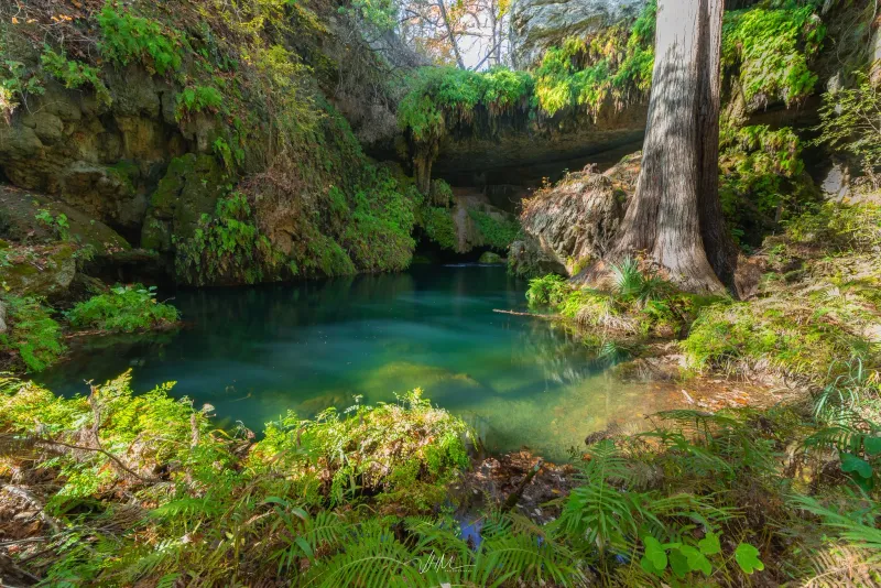 Westcave Preserve Waterfall (Round Mountain)