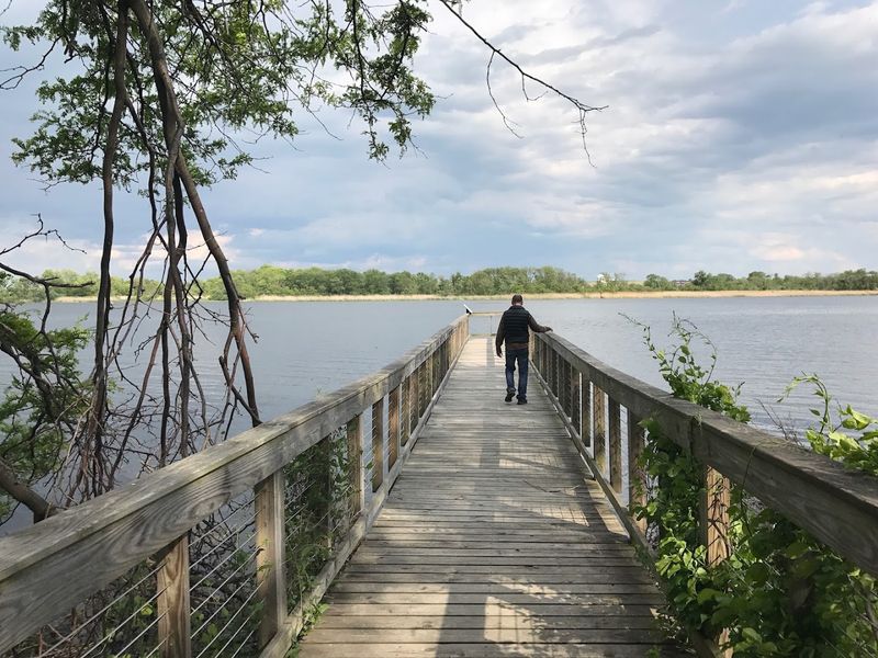 Wetland Boardwalks Lead Into a Wildlife-Filled World