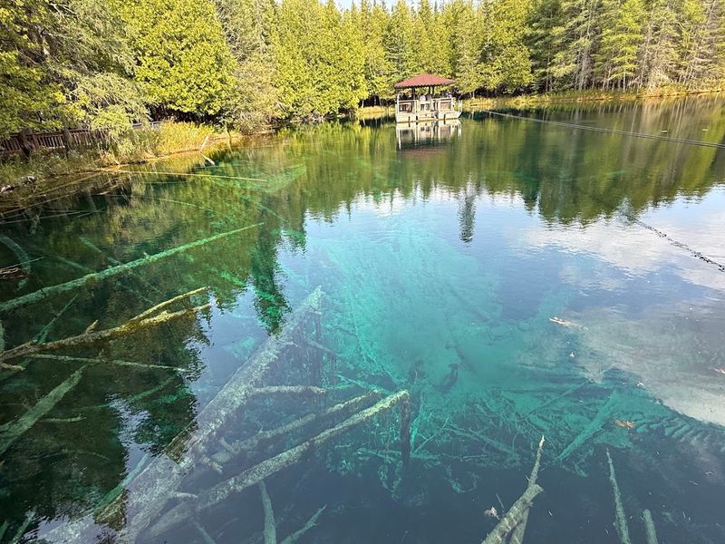What Lives 40 Feet Below the Surface in Michigan's Biggest Spring What Lives 40 Feet Below the Surface in Michigan's Biggest Spring