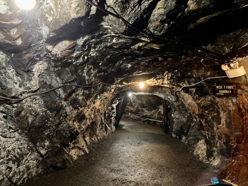 What You Learn Inside the Mine What You Learn Inside the Mine