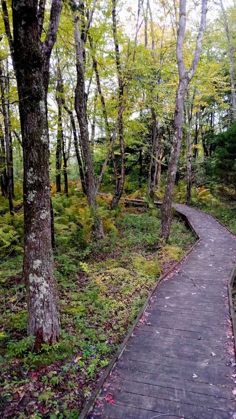 What the 2-Mile Loop Actually Feels Like What the 2-Mile Loop Actually Feels Like