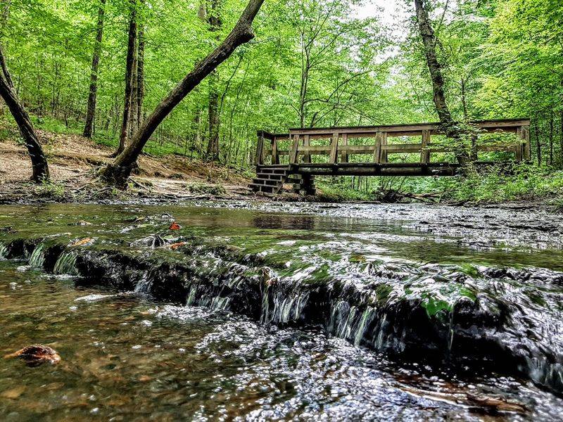 What to Know Before Hiking Stillhouse Hollow Falls Trail What to Know Before Hiking Stillhouse Hollow Falls Trail