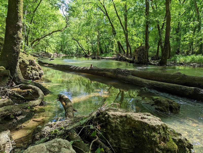What to Know Before Visiting Barfield Crescent Park