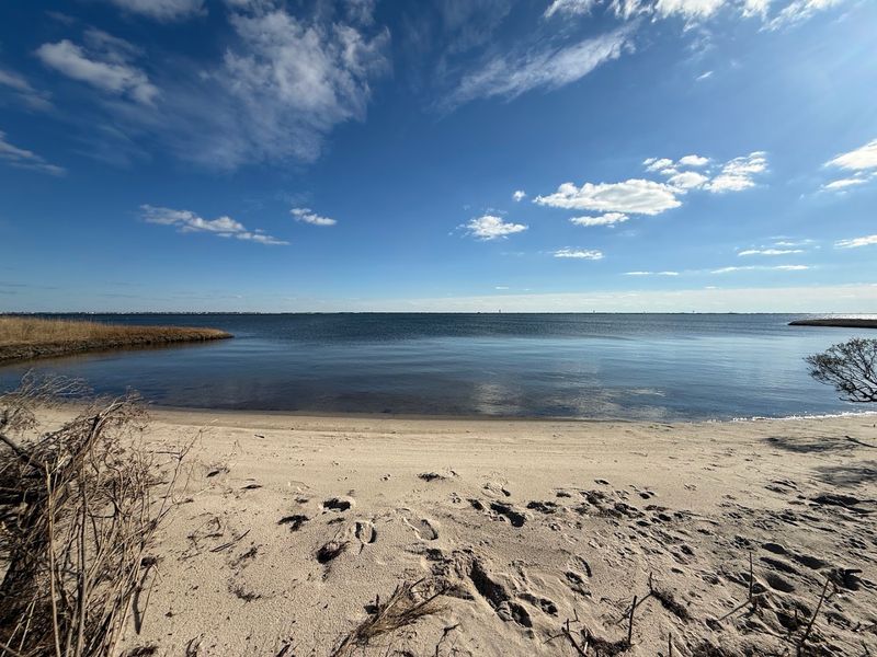 What to Know Before Visiting Cattus Island County Park in 2026 What to Know Before Visiting Cattus Island County Park in 2026