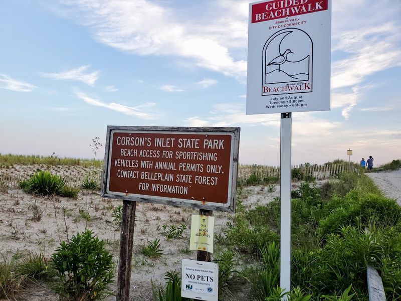 What to Know Before Visiting Corson’s Inlet State Park in 2026 What to Know Before Visiting Corson’s Inlet State Park in 2026
