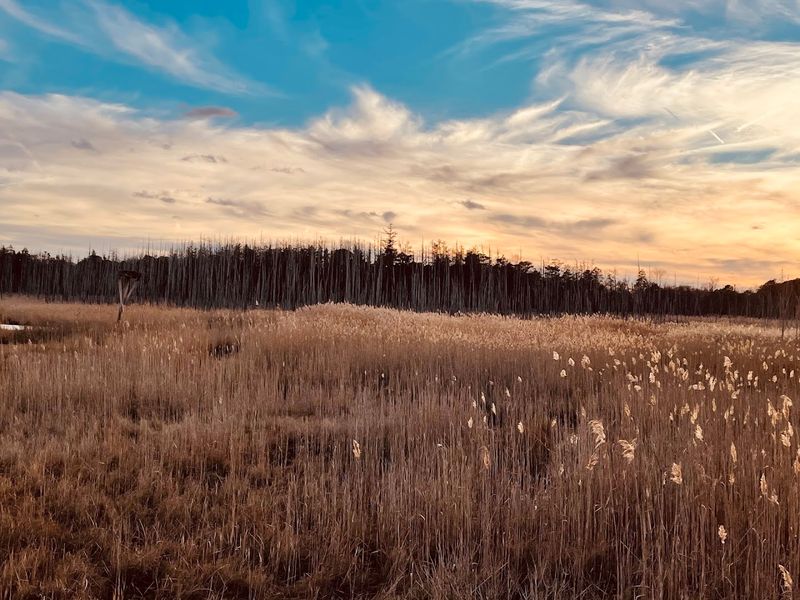 What to Know Before Visiting This Hidden Toms River Escape