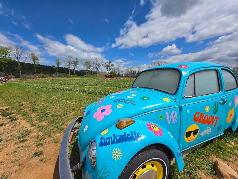 What to Know Before Visiting Von Thun Farms in 2026