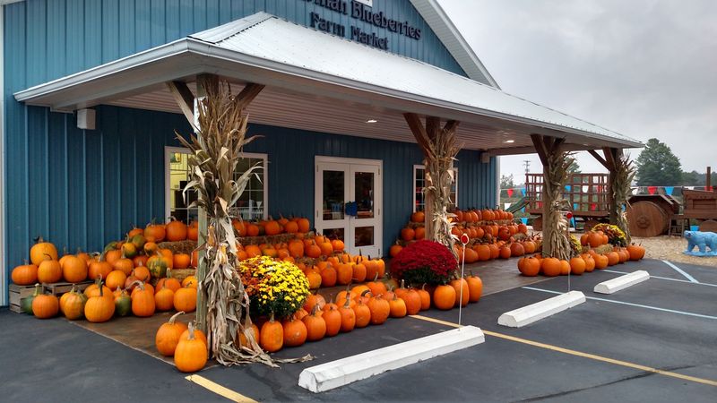 Where Blue Fields Meet a Buzzing Farm Market