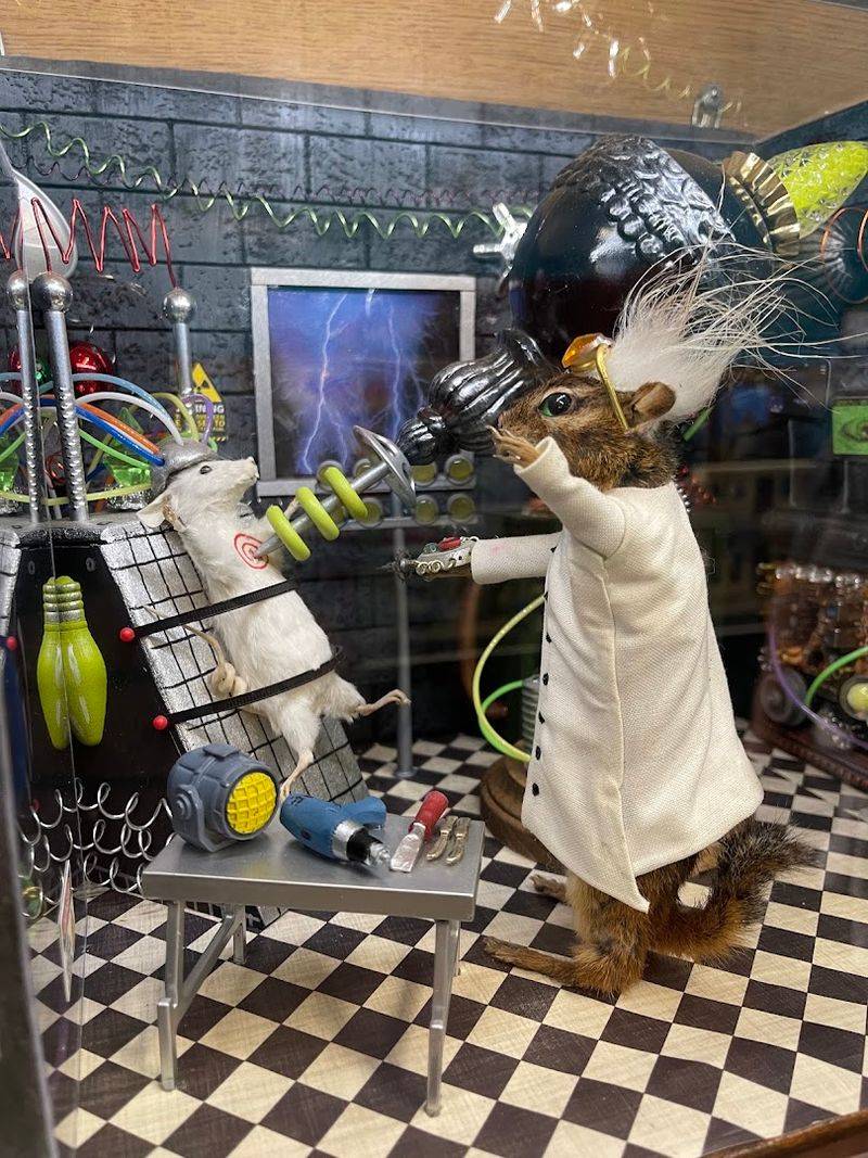 Where weird taxidermy becomes handcrafted visual comedy Where weird taxidermy becomes handcrafted visual comedy