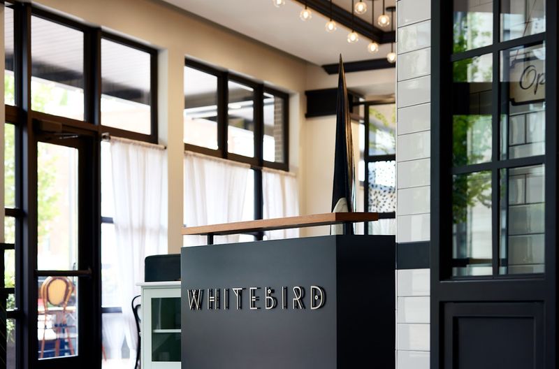 Whitebird — Chattanooga