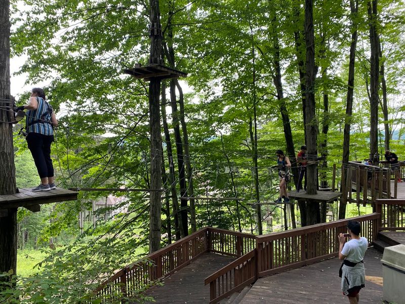 Who will love this zipline the most Who will love this zipline the most