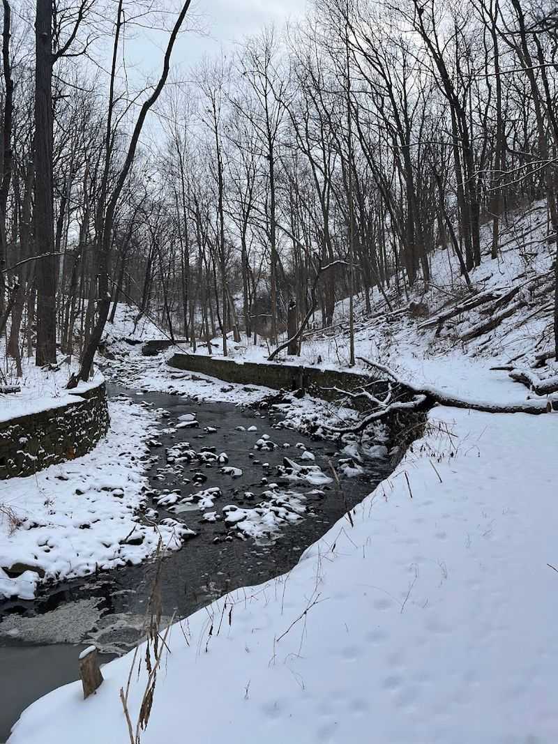 Why Ambler Park deserves more attention Why Ambler Park deserves more attention