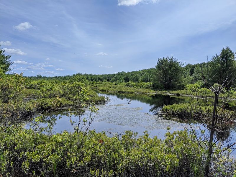 Why Birders Love This Sanctuary Feel Why Birders Love This Sanctuary Feel