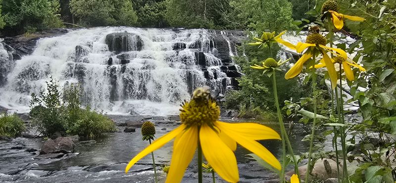 Why Bond Falls Stands Apart From Every Other Michigan Waterfall Why Bond Falls Stands Apart From Every Other Michigan Waterfall
